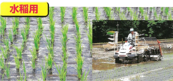 紙マルチ 販売中 ー 農家必見 水稲用 畑用 田植え 畑の雑草抑制 ブランド化に最適 機能紙選定ナビ