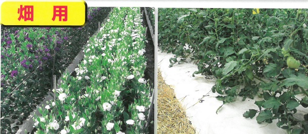 紙マルチ 販売中 ー 農家必見 水稲用 畑用 田植え 畑の雑草抑制 ブランド化に最適 機能紙選定ナビ