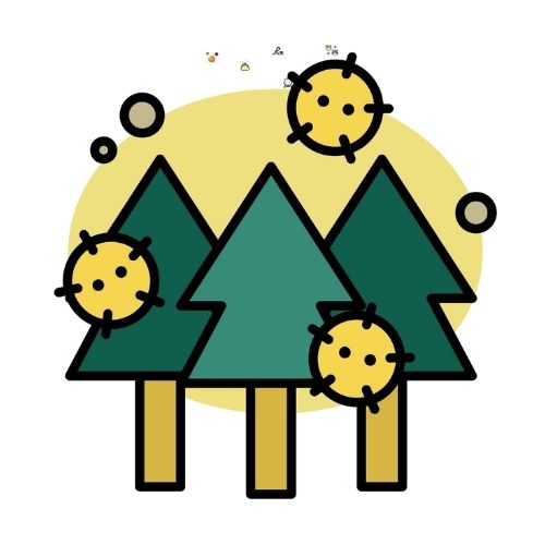 花粉やホコリをしっかりキャッチして排気をきれいにする紙パック