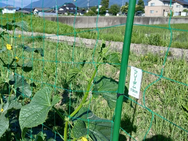 屋外農業用POPでの使用例