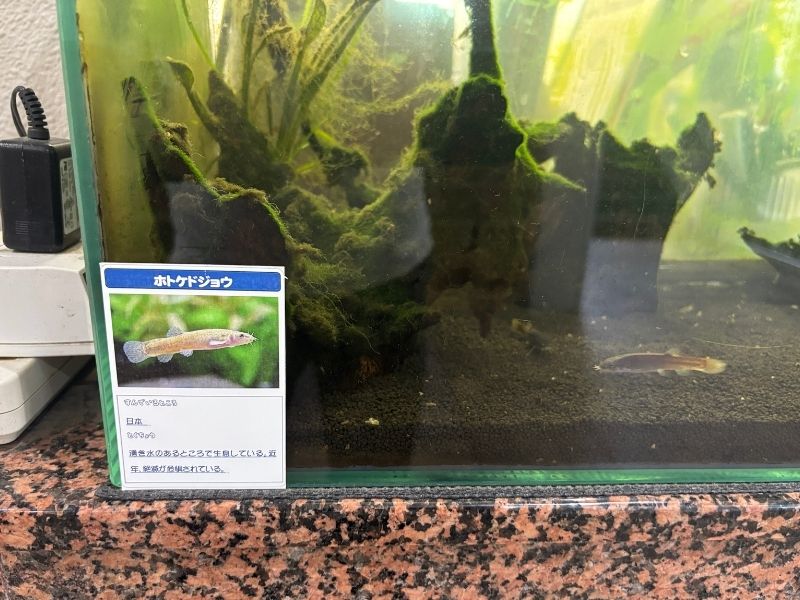 高湿度環境での使用例