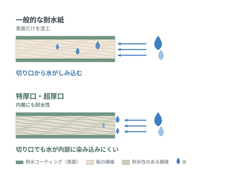 耐水紙の断面構造図 表面塗工と内層耐水の違い|切り口からの浸水に強い特厚口・超厚口