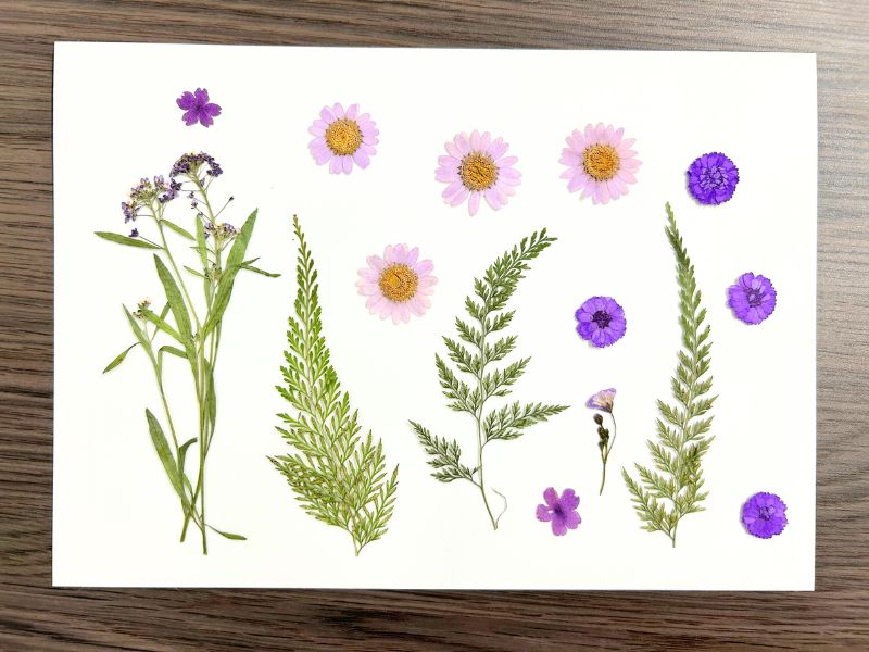 誰でも簡単】押し花の作り方をご紹介｜おすすめの押し花シートも販売中  